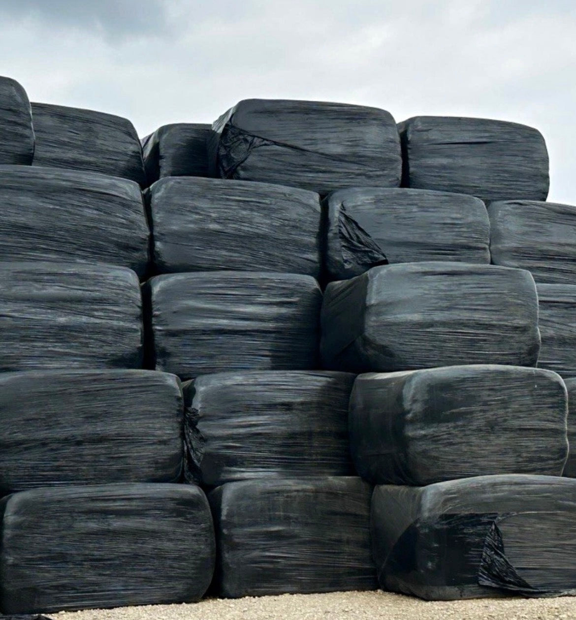 80 x 90 x 6ft Haylage Bale