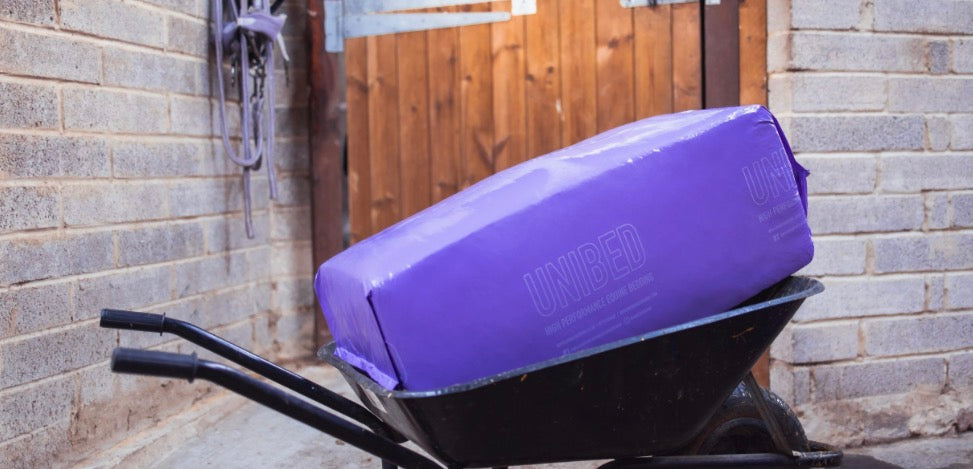 Unibed Lavender