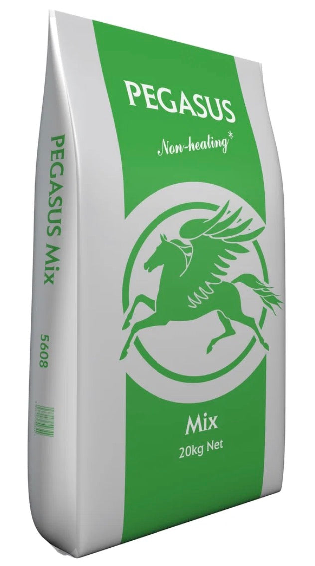 Pegasus Horse & Pony Mix