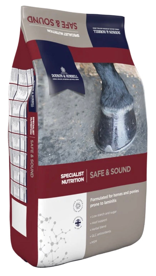 Dodson Horrell Safe and Sound
