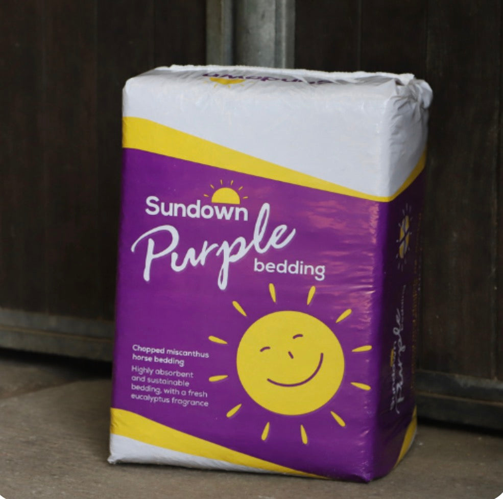 Sundown Purple