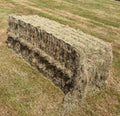 80 x 90 x 7ft Hay