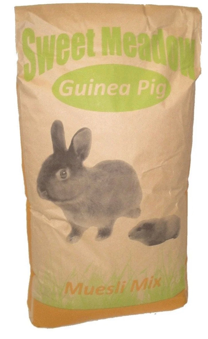 Sweet Meadow Guinea Pig