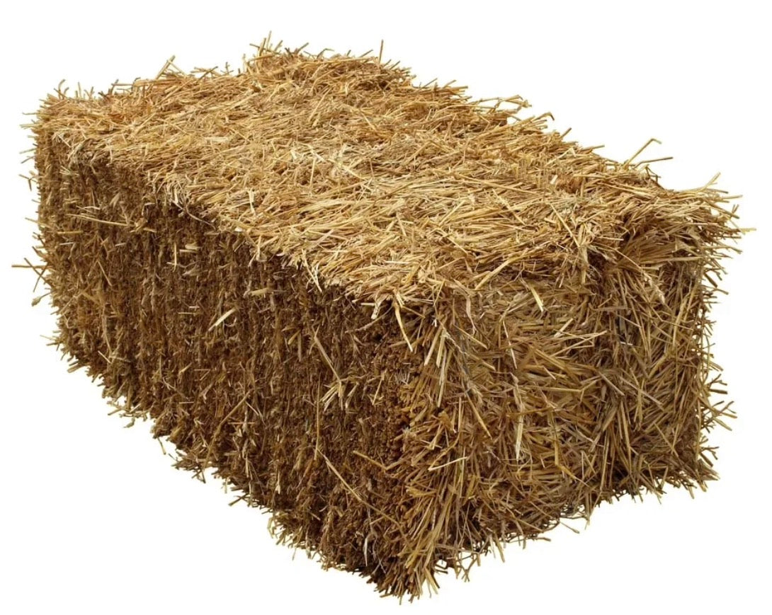 Small Straw Bale