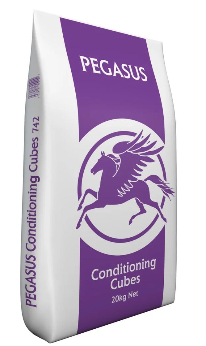 Pegasus Conditioning Cubes