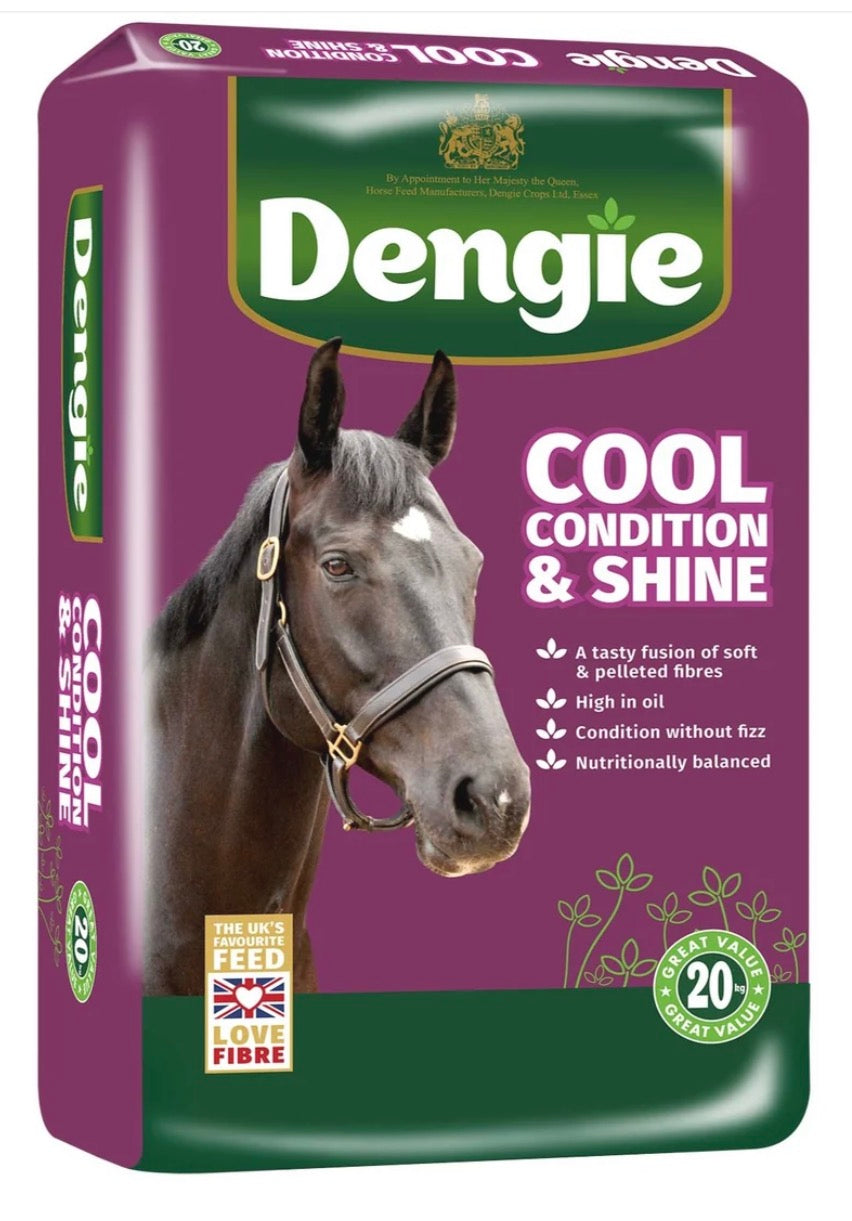 Dengie Cool Condition Shine