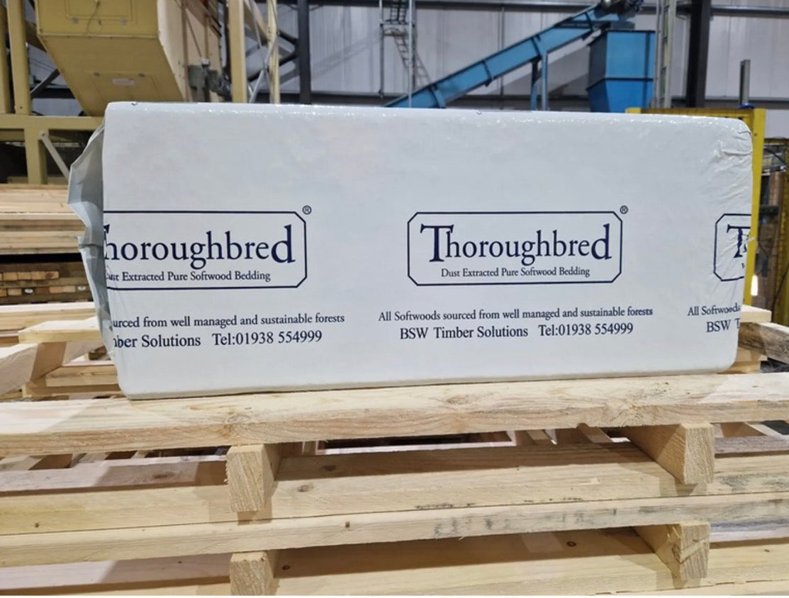 Thoroughbred Shavings