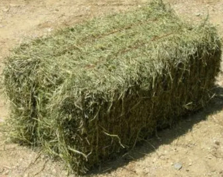 Small Hay Bale