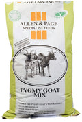 Allen Page Pygmy Goat