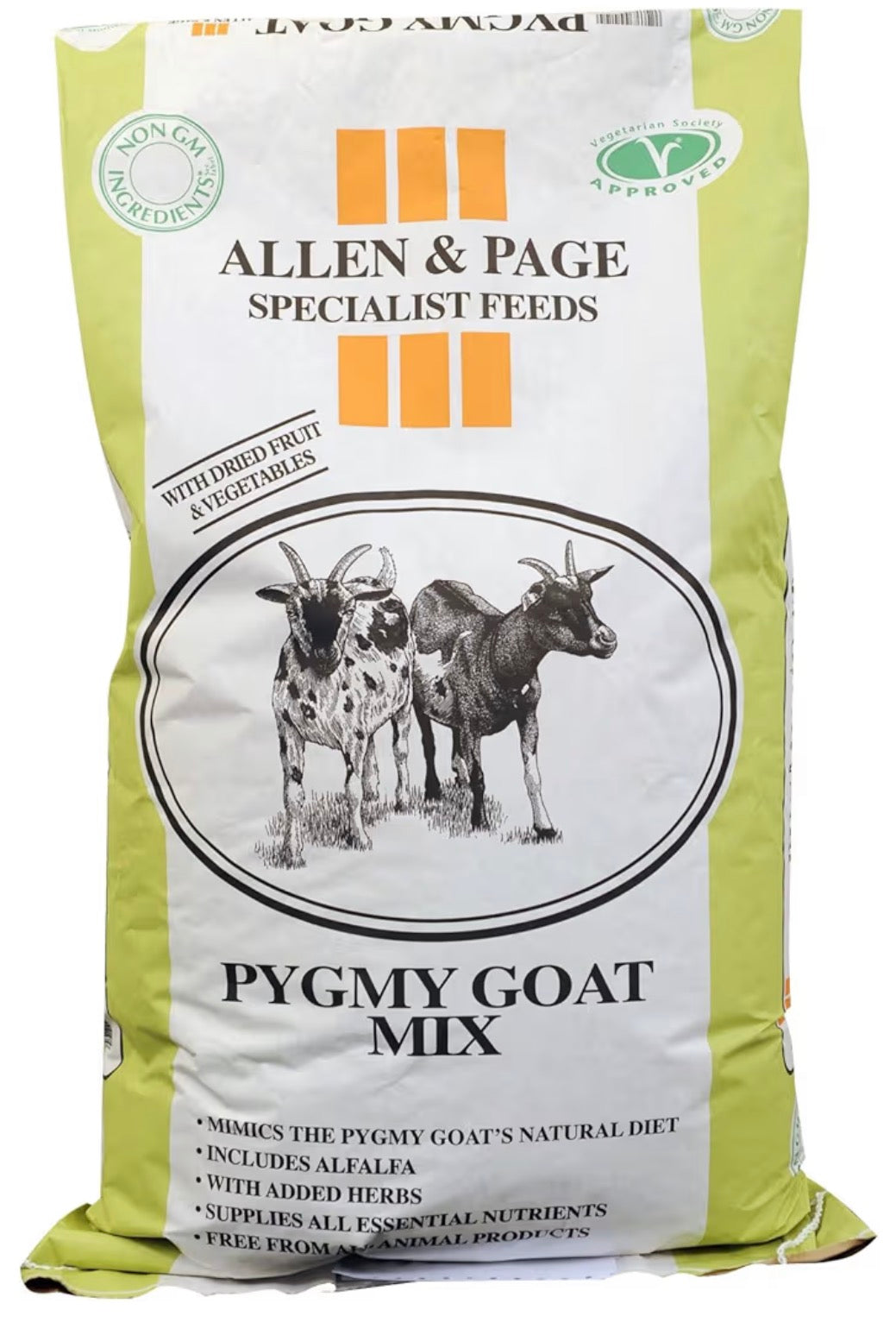 Allen Page Pygmy Goat