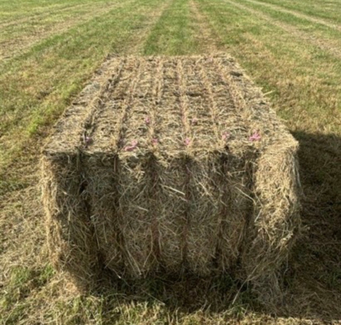 120 x 90 x 7ft Hay